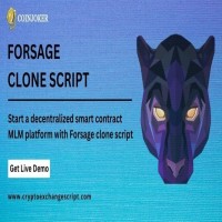 Forsage clone  Basic ways to launch MLM platform like Forsage